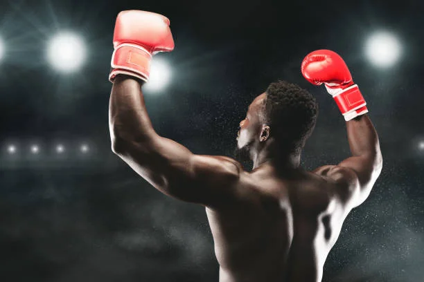 pg体育赵雷霆击倒对手赢得全国精英赛冠军