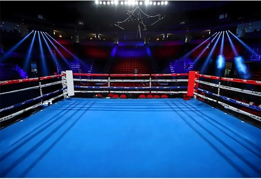 pg体育拳击竞技场灯光效果
